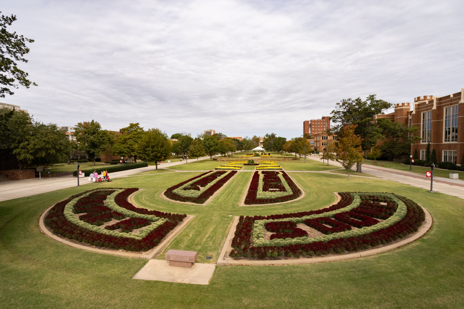 South Oval Mums